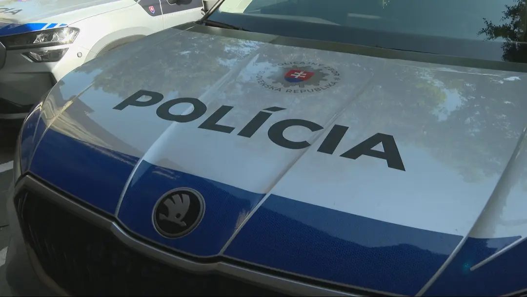 Polícia ilustračka