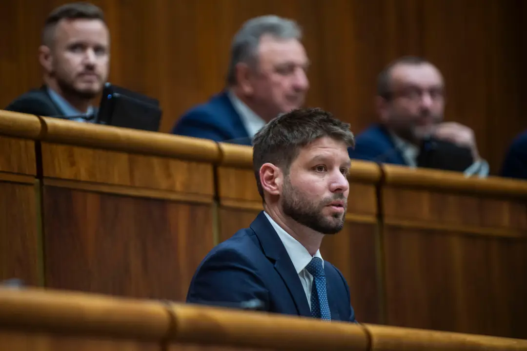 Michal Šimečka.