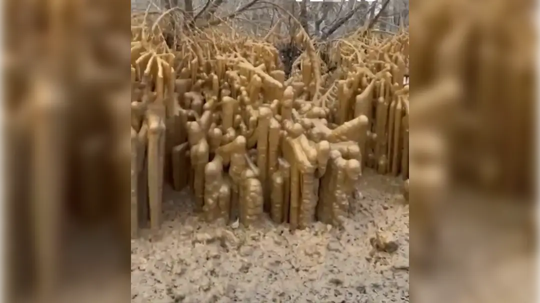 Fekálne stalagmity vo Volgograde.