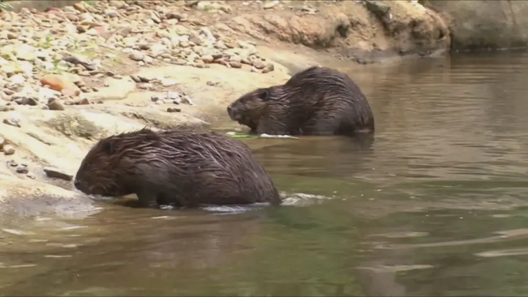 Ilustračný záber.
