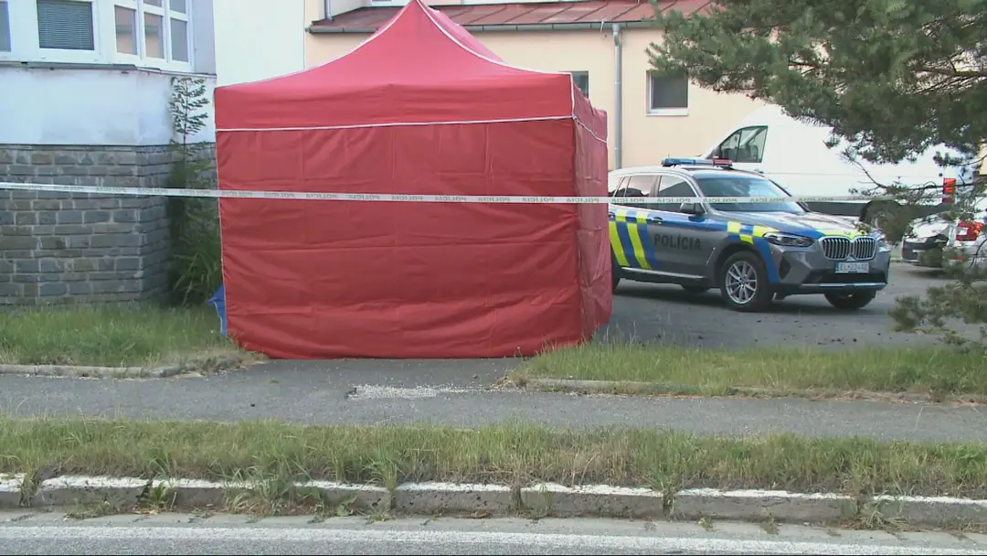 Žena priviezla mŕtveho chlapca na políciu