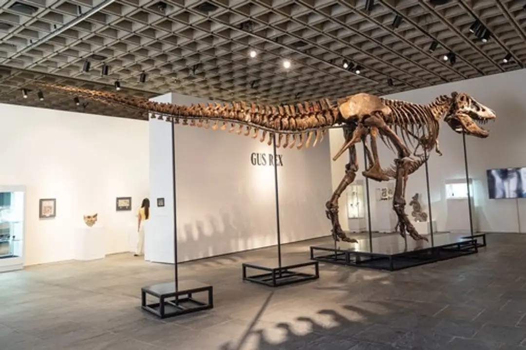 Kostra T. rexa