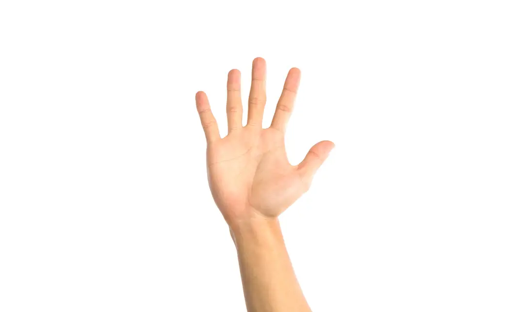 Dĺžka prstov je vraj indikátor sexuálnych kvalít i problémov!