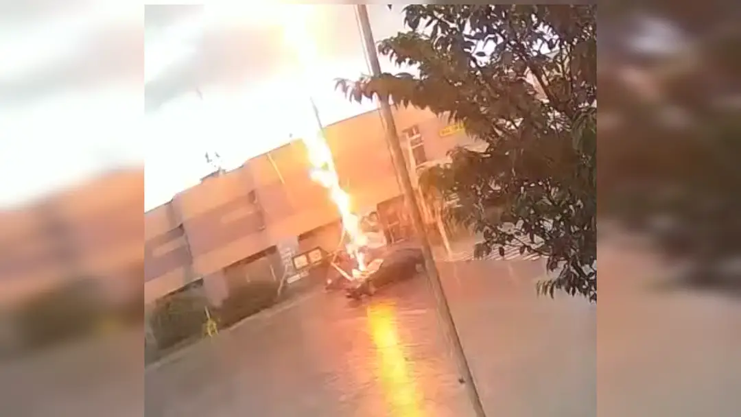 Strom po zásahu bleskom v meste Šaštín-Stráže zhorel.