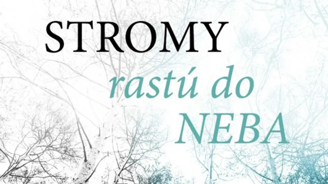 Obálka knihy.