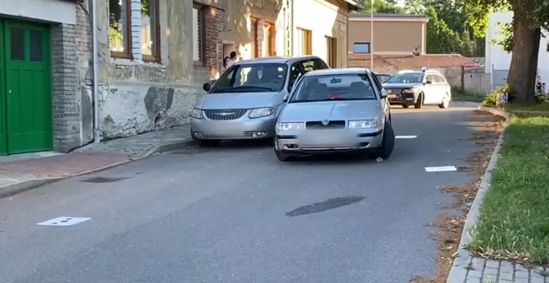 Samozber levandule vo Svinnej.