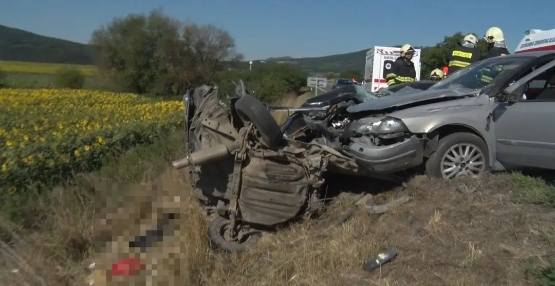 Vodič zraneniam podľahol.