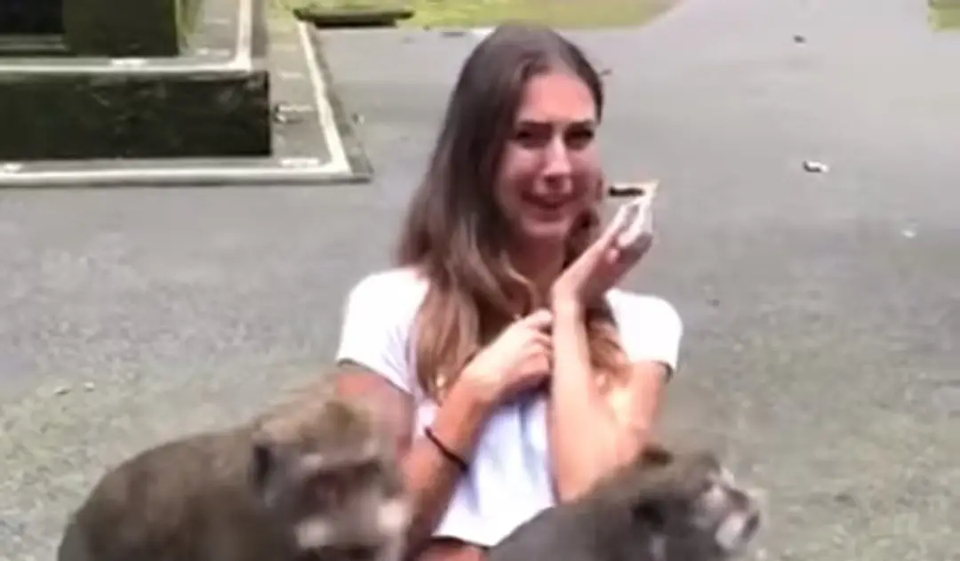 Turistka sa chcela odfotiť s opicami, no toto nečakala.