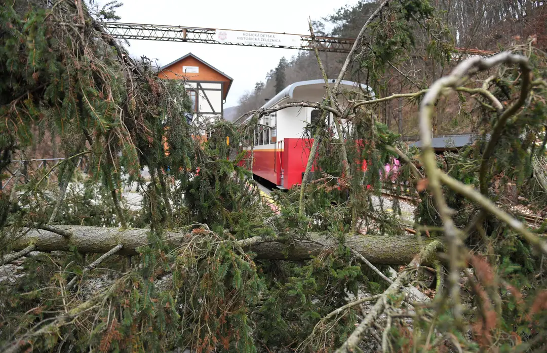 Na snímke vyvrátený strom počas silného vetra na Detskej železničke v Košiciach.