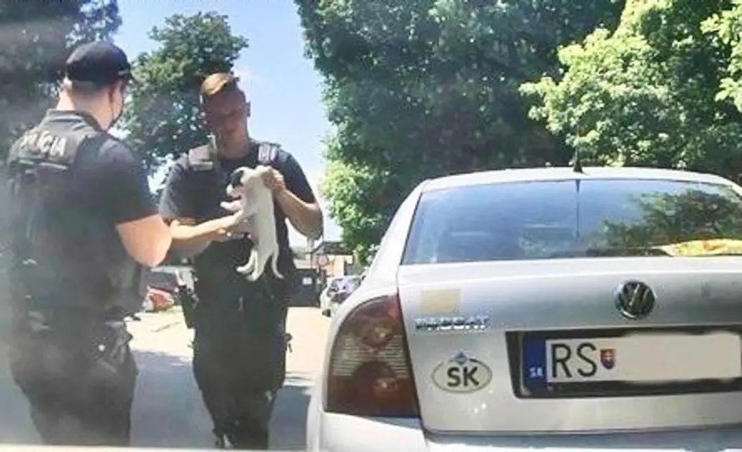 Policajti zachraňovali psa.