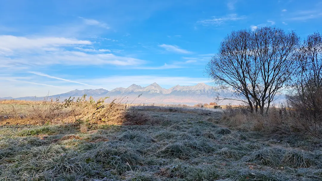 Na snímke zamrznutá tráva a v pozadí Vysoké Tatry počas prízemného mrazu v Poprade.