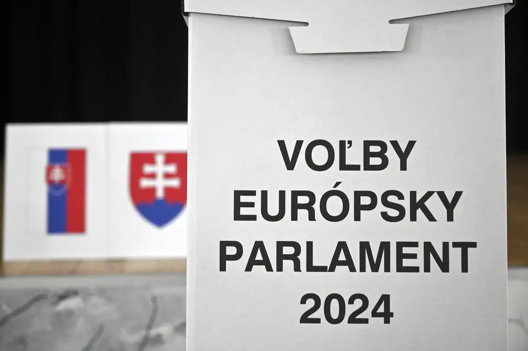 Voľby do Európskeho parlamentu.