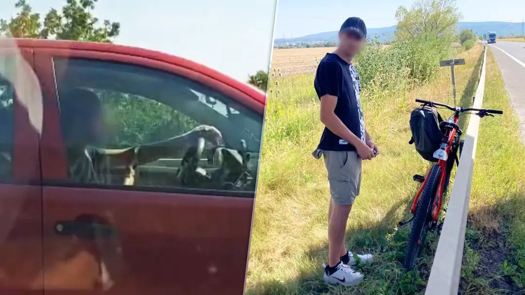 Prípady z Bratislavského kraja
