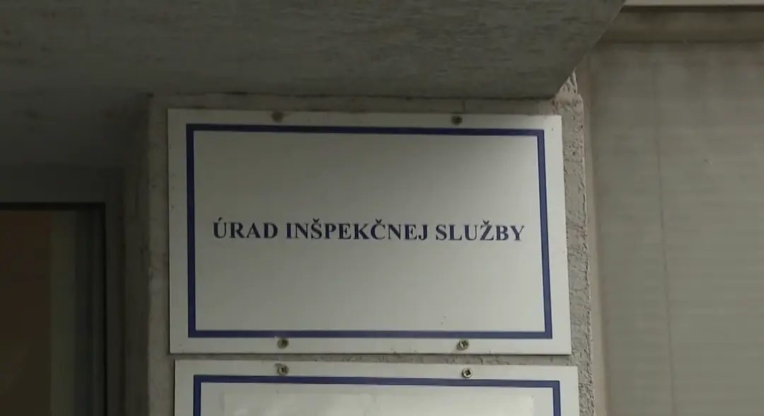 Inšpekcia