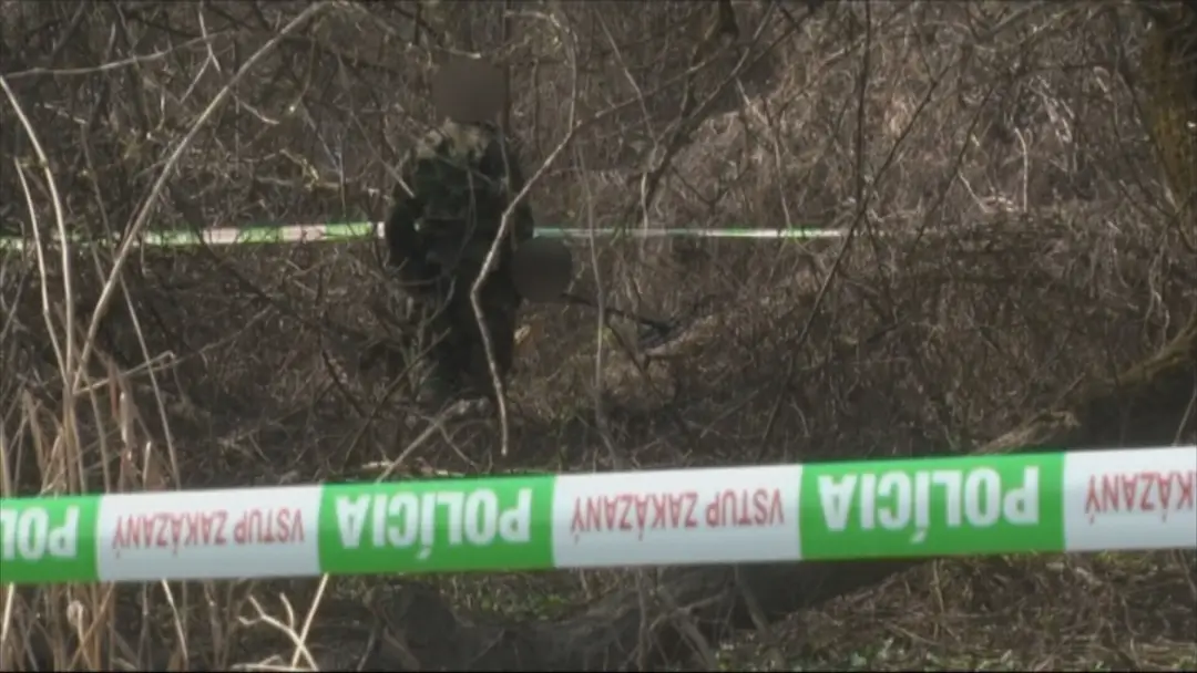 Vrah na slobode
