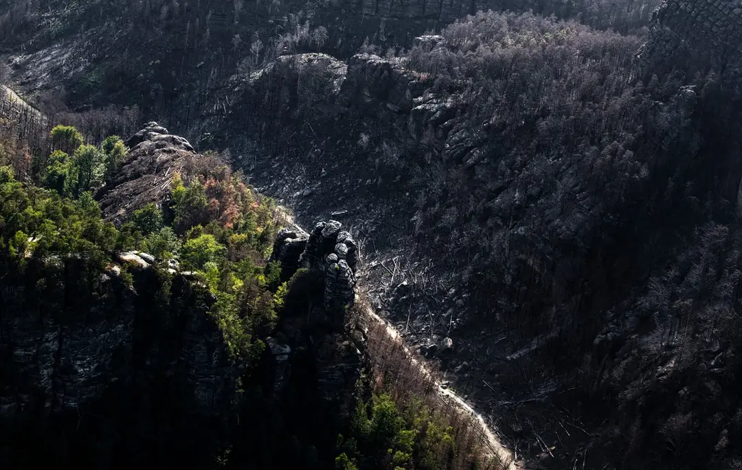 České Švajčiarsko rok po požiari