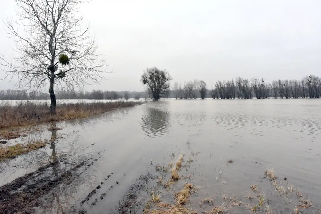 Rozliata rieka Latorica.