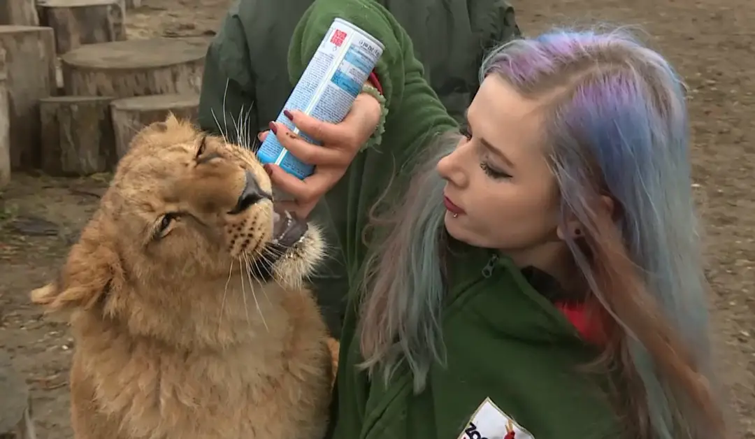Kontaktná ZOO