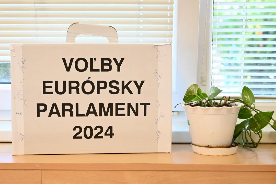 Voľby do EP 2024
