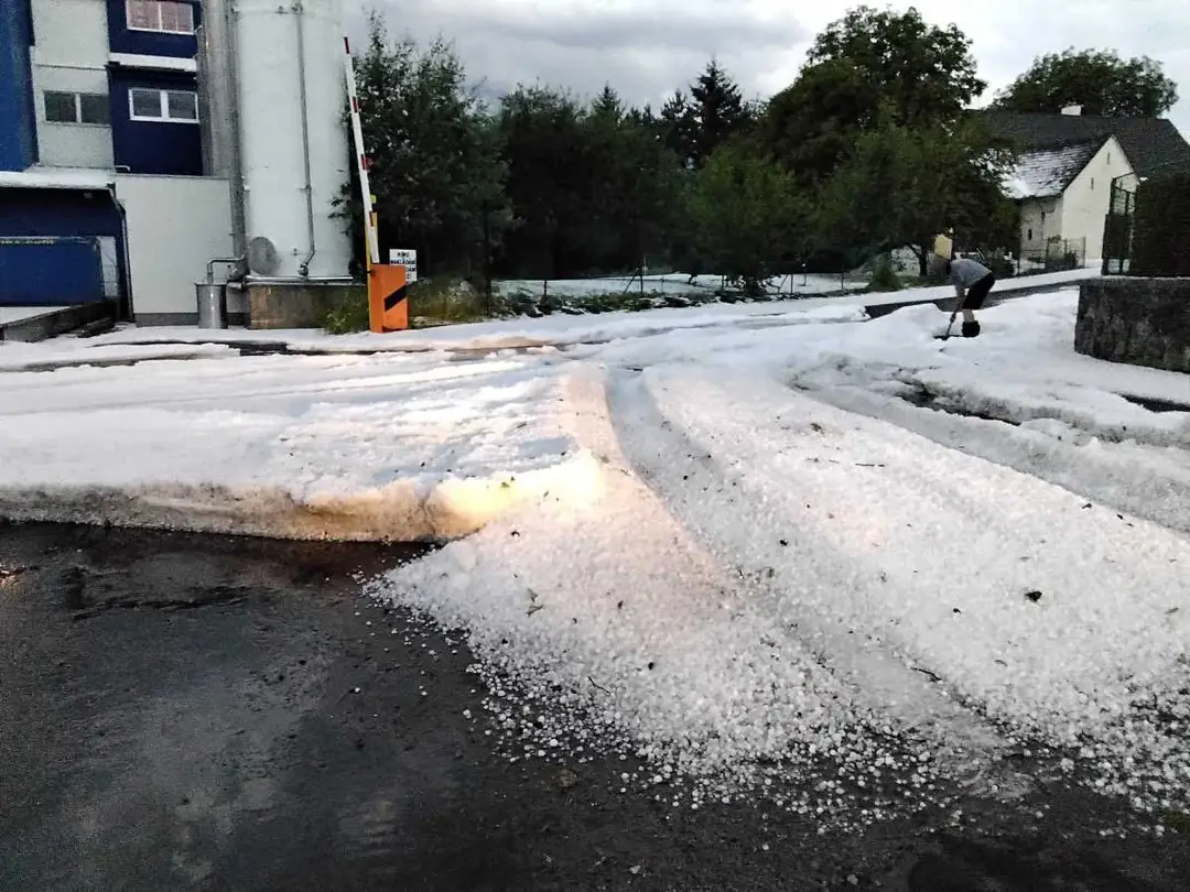 Hromada krúpov v českej obci Olešnice.