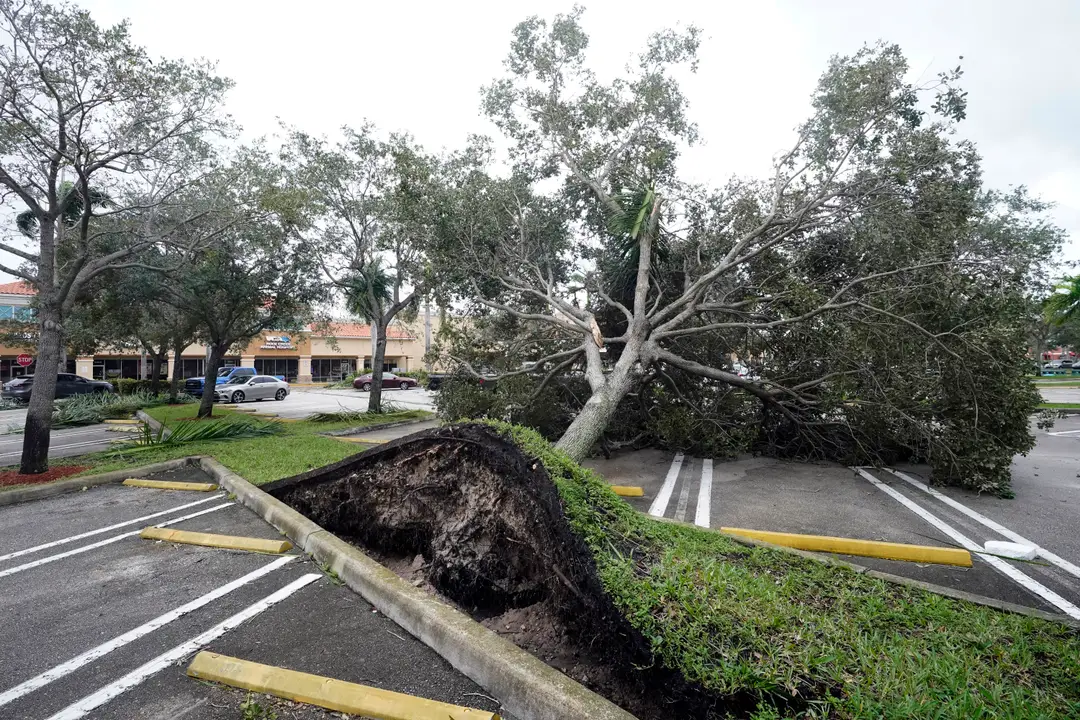 Vyvrátený strom leží na parkovisku pred obchodným centrom v meste Cooper City.