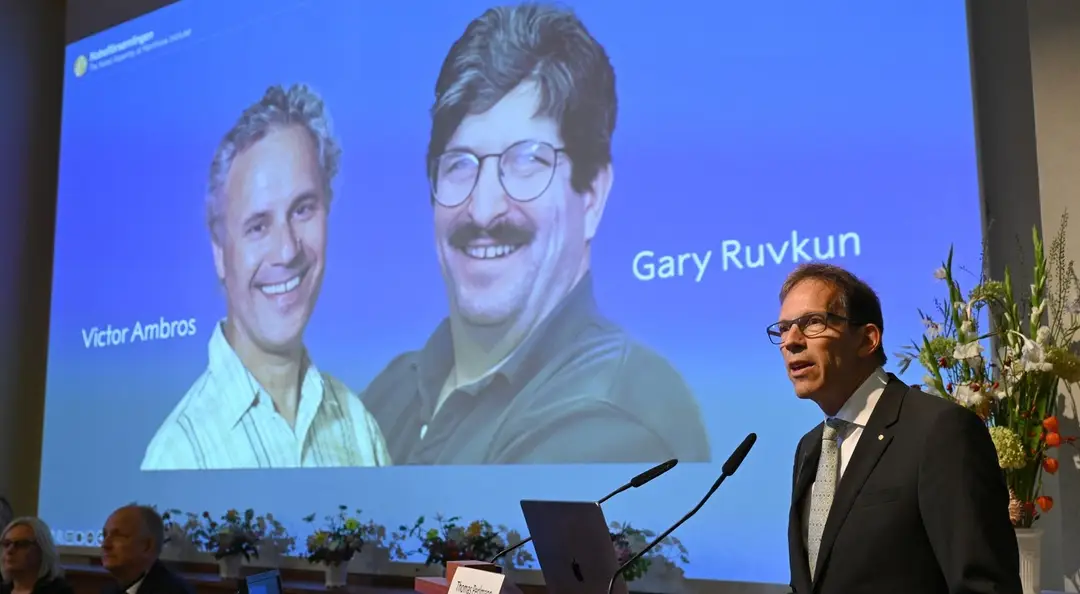 Nobelovu cenu za fyziológiu alebo medicínu získali spoločne Američania Victor Ambros a Gary Ruvkun za objav mikroRNA.