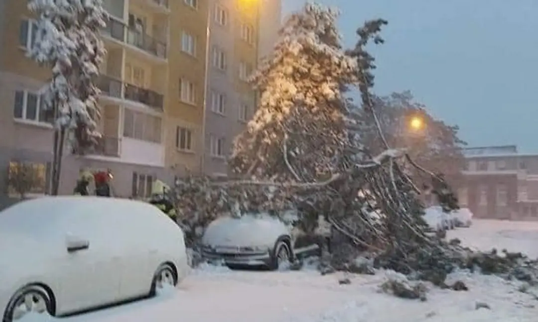 Spadnutý strom na auto na východe Slovenska.