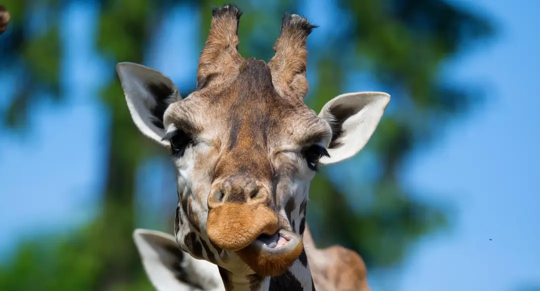 Ilustračná snímka. 
