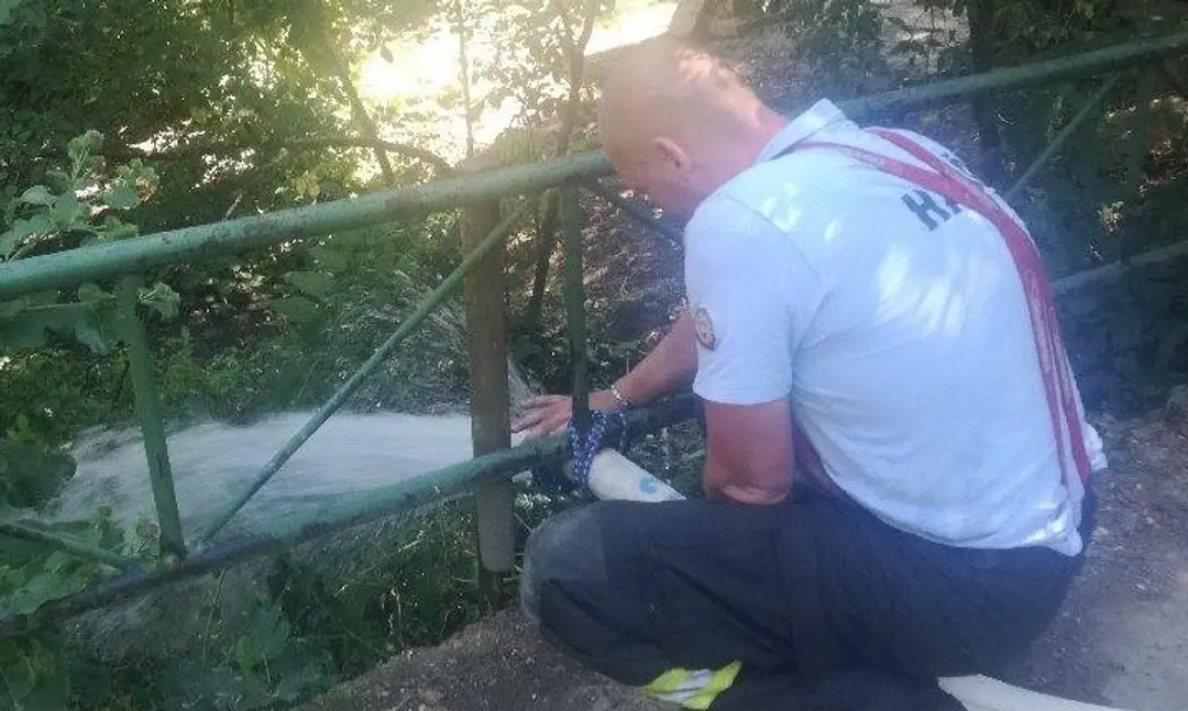 Zvieratá mali nedostatok vody.