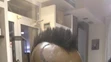 baloteli3.jpg