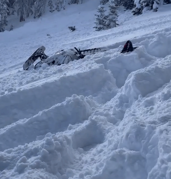 Lucia Ďuriš Nicholsonová a Jana Bittó Cigániková.