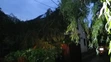 Polámané stromy na elektrickom vedení po búrke v okrese Bánovce nad Bebravou.