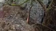 Na Beňovolehotskom potoku vyhlásili tretí povodňový stupeň.