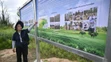 Na tejto fotografii z 11. augusta 2025 študentka Zhang Yanping vysvetľuje projekt zalesňovania suchých a púštnych oblastí, známy ako „Veľký zelený múr“.