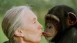 Jane Goodall