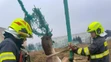 Hasiči zachraňovali zviera
