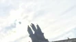 2017_09_27_laska_46-1.mp4