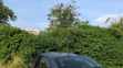 Tragická dopravná nehoda medzi Hanušovcami nad Topľou a obcou Bystré.