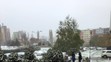 Bratislava - Dúbravka