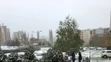 Bratislava - Dúbravka