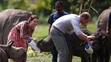 Kate a William kŕmia nosorožce a slony v národnom parku Kaziranga.