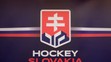 Nové logo slovenského hokeja.