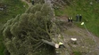 Policajti sa pozerajú na takmer 200-ročný javor horský, ktorý zoťal 16-ročný mladík na mieste zvanom Sycamore Gap.