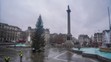 Vianočný strom na Trafalgarskom námestí.