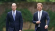 Princovia Harry a William