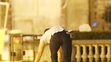 Dakota Johnson a Jamie Dornan