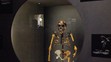 Na snímke kópia kostry australopiteka pomenovaného Lucy, ktorá je súčasťou expozície Ľudia a ich predkovia v Národnom múzeu v Prahe.