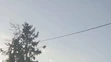 Spadnutý strom po smršti v obci Lekárovce.