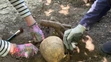 Archeologické nálezy na Stupavskej šibenici.