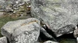 K dispozícii máme fotografie neohľaduplných turistov vo Vysokých Tatrách